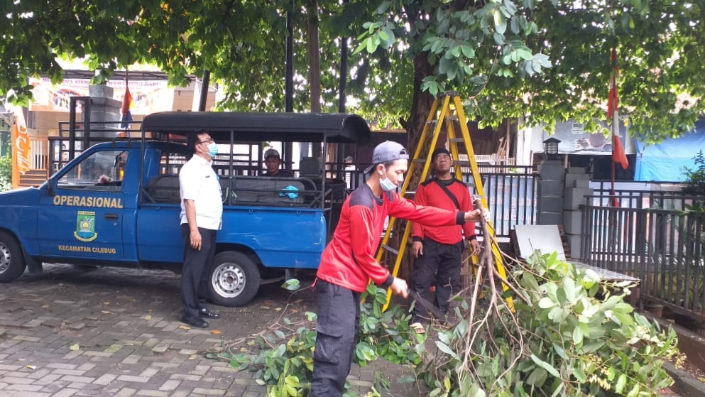 Penopingan Pohon oleh Tim Satgas Kecamatan di Halaman Kantor Kelurahan Sudimara Selatan