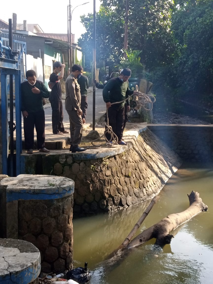 Kegiatan Pengambilan Kayu Besar yang Tersangkut di Pintu Air Pelayangan Kelurahan Paninggilan