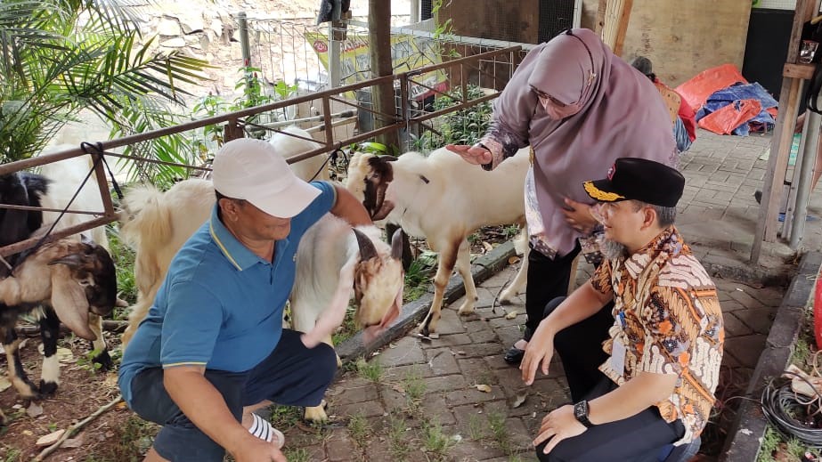 Kegiatan Pencegahan dan Pengendalian Penyakit Mulut dan Kuku (PMK) pada Hewan Kurban di Wilayah Kelurahan Paninggilan Utara