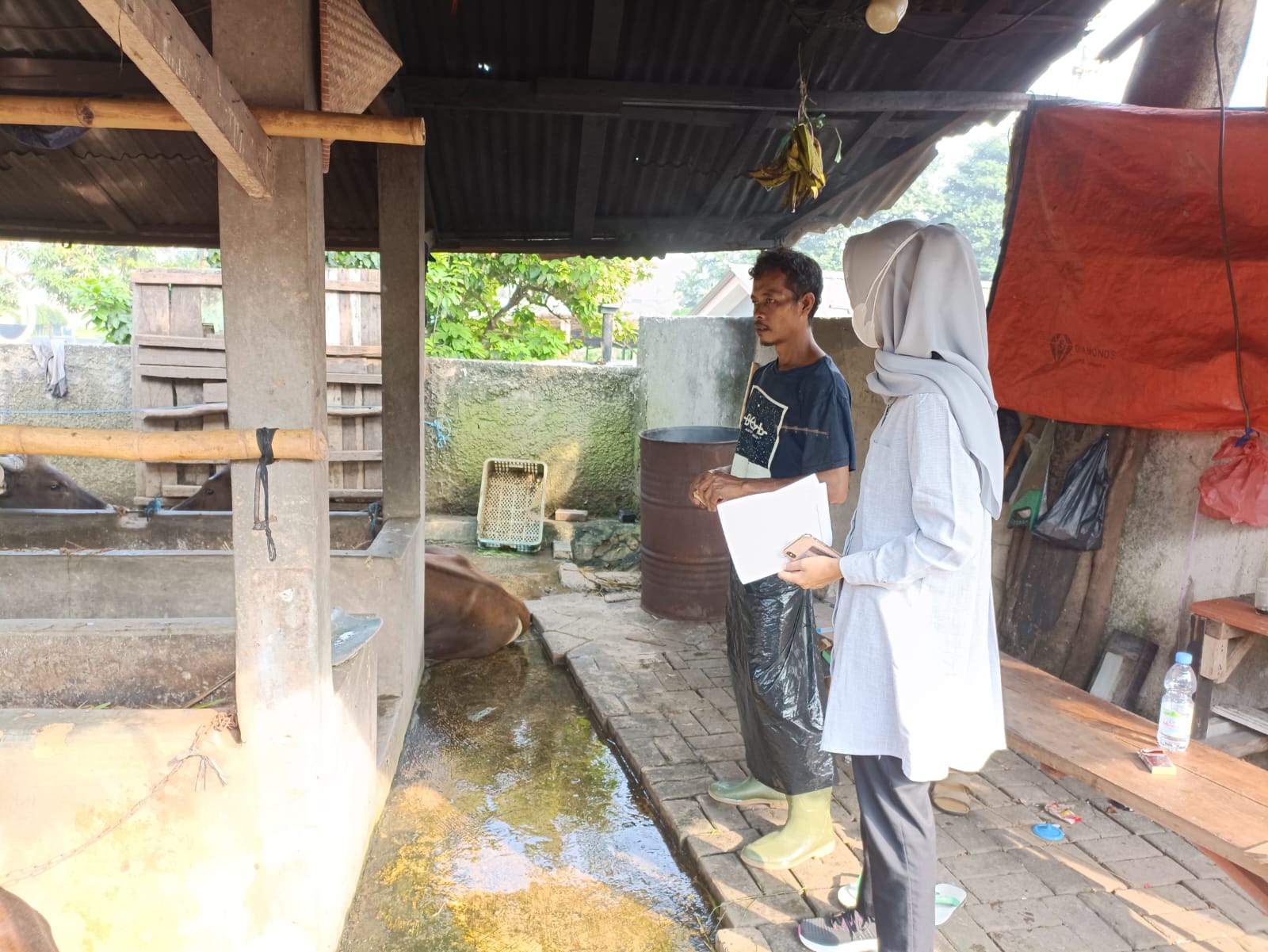 Kegiatan Pencegahan dan Pengendalian Penyakit Mulut dan Kuku (PMK) pada Hewan Kurban di Wilayah Kelurahan Tajur