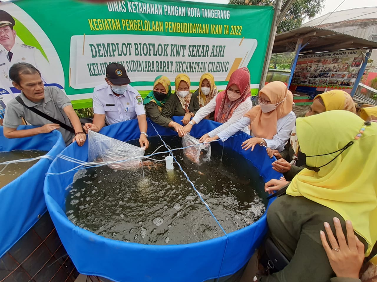 Kegiatan Penebaran Bibit Ikan Lele dan Nila bersama DKP Kota Tangerang di KWT Sekar Asri RW 009 Kelurahan Sudimara Barat