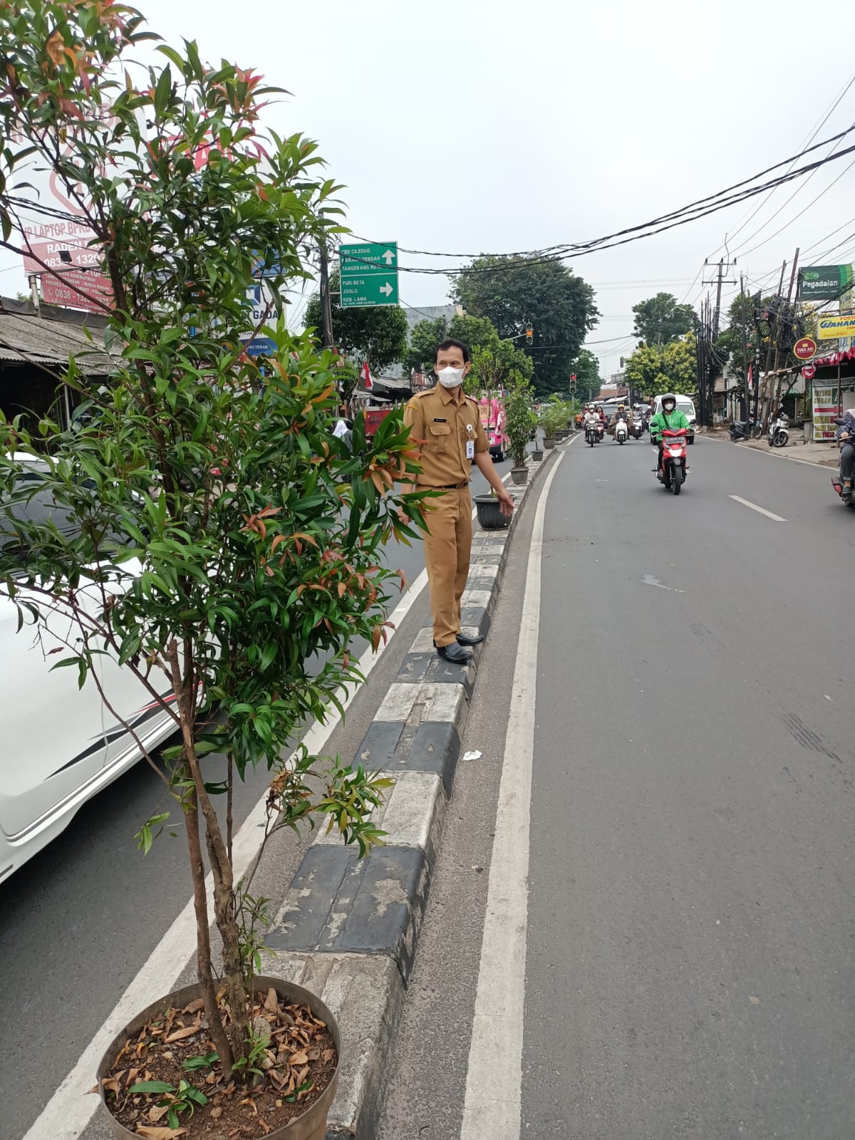 Kegiatan Penataan Pohon Penghijaun di Jl. Raden Patah Parung Serab