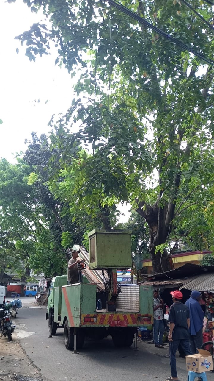 Kegiatan Penopingan Pohon oleh Disbudpar Kota Tangerang di Japos RW 014 Kelurahan Paninggilan