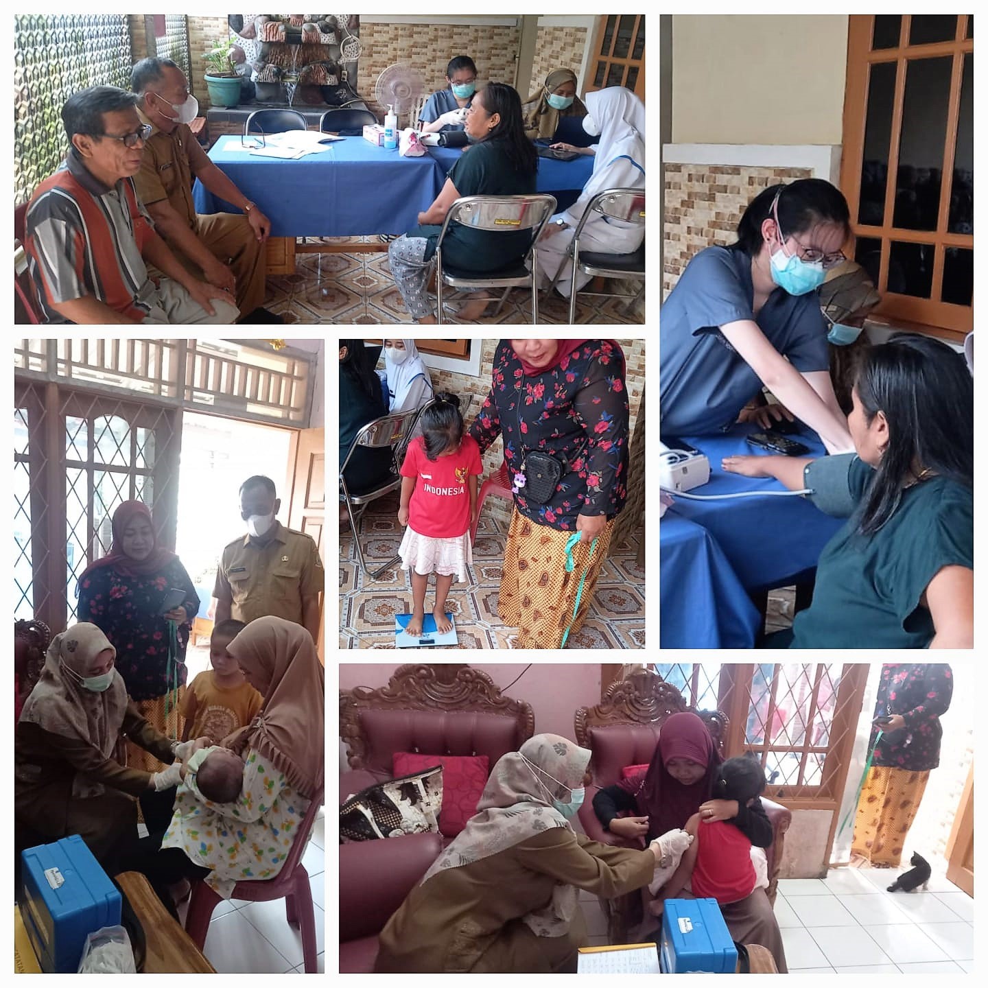 Monitoring Kegiatan Bulan Imunisasi Anak Nasional (BIAN) di Posyandu Jambu RW 001 Kelurahan Paninggilan