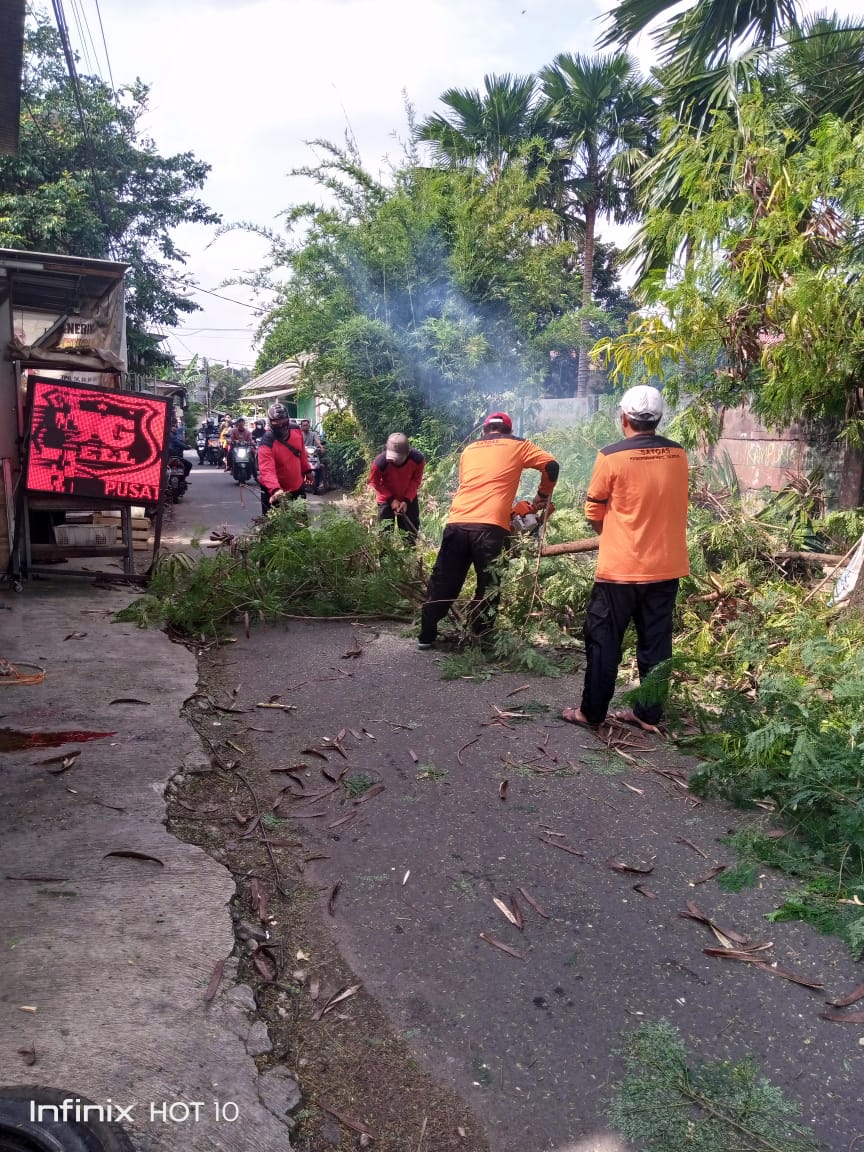 Penopingan Pohon Besar oleh Satgas Kebersihan Kecamatan di Jl. Duren Sawit RT 02 RW 03 Kelurahan Tajur