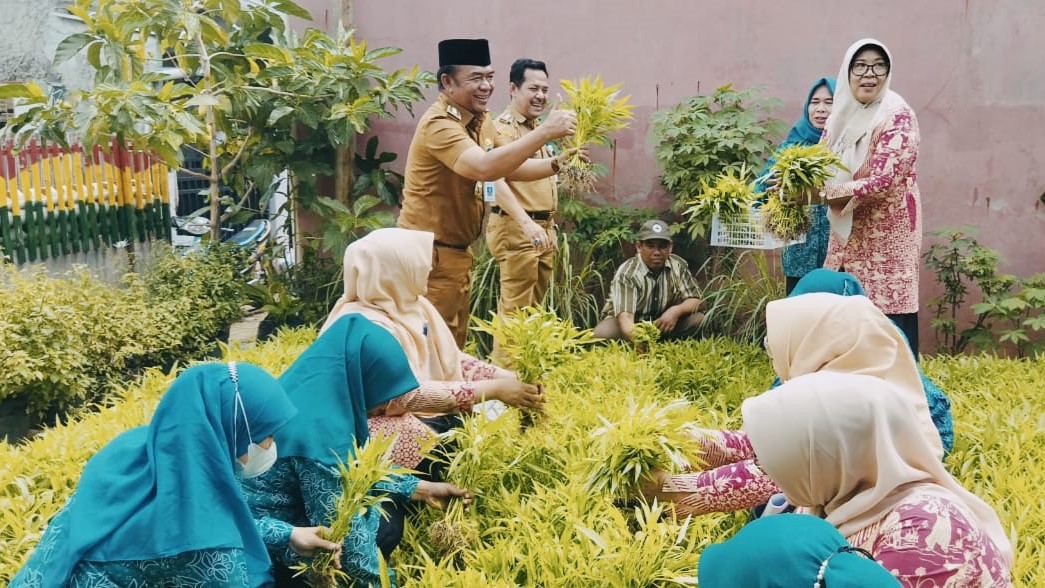Kegiatan Panen Raya Bersama TP. PKK Kota Tangerang di KWT Belimbing Kelurahan Parung Serab